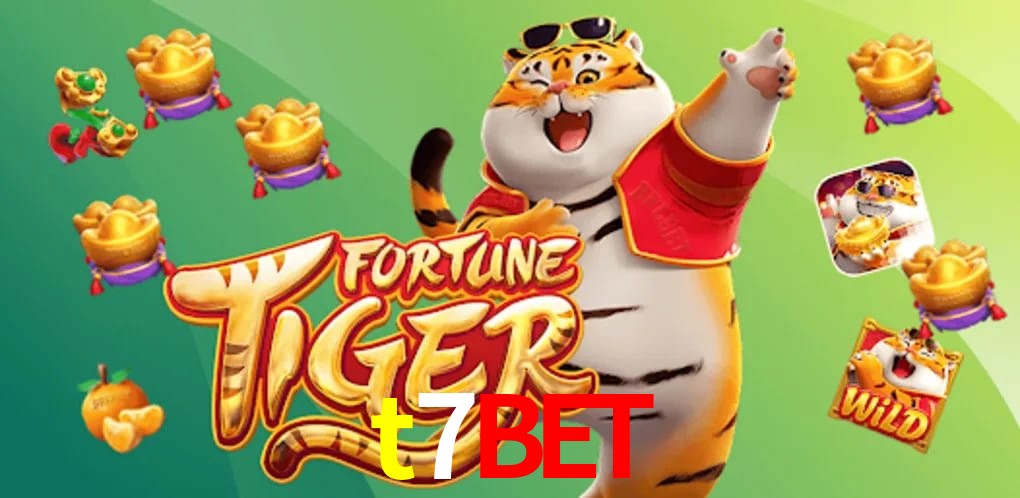 Sports Statistics t7bet
